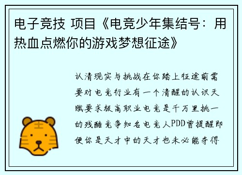 电子竞技 项目《电竞少年集结号：用热血点燃你的游戏梦想征途》